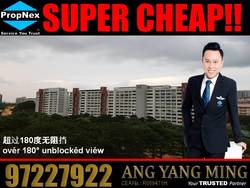Blk 238 Jurong East Street 21 (Jurong East), HDB 5 Rooms #171230992